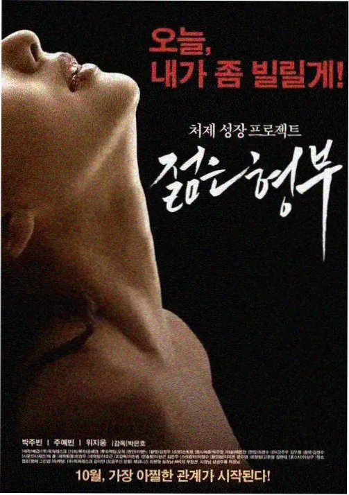 韩国悬疑电视剧汉江以西在线观看